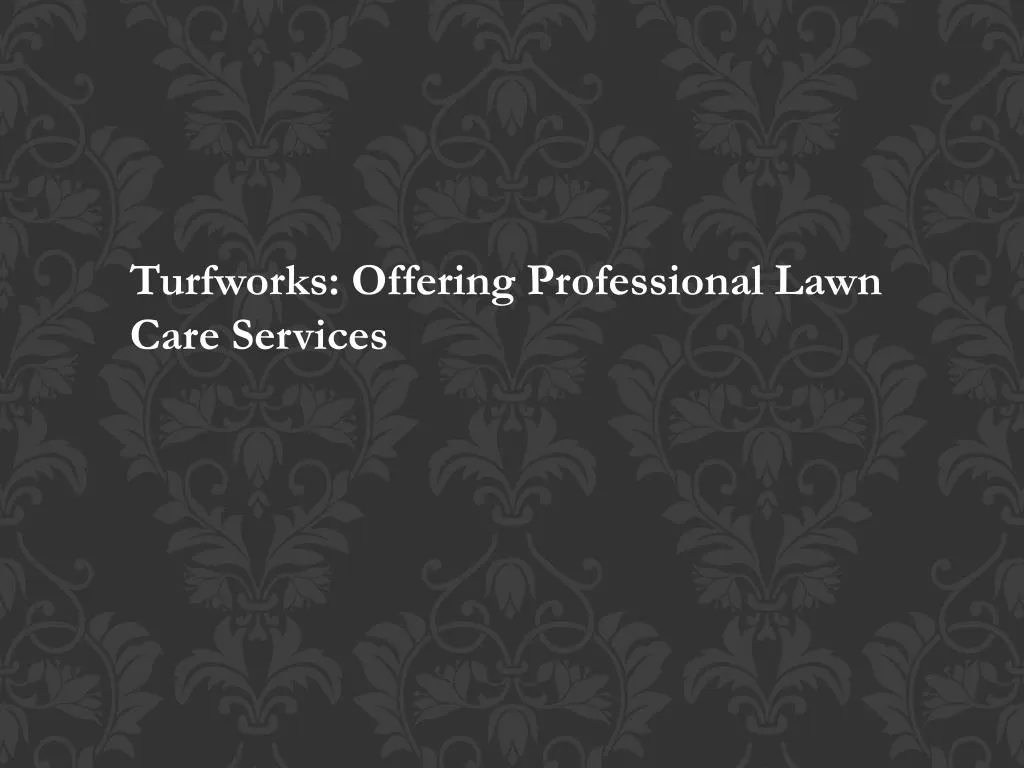 turfworks offering professional lawn care services