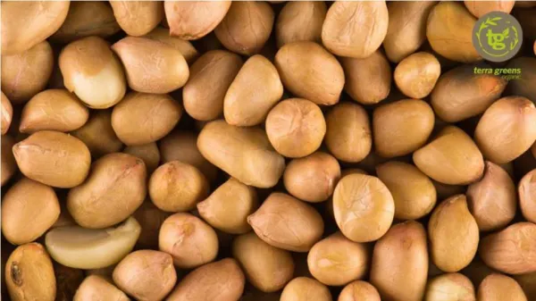 Peanuts: Healthier Than Meat and Eggs