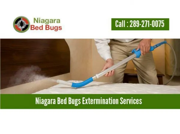 Niagara Bed Bugs - Professional Exterminaters & Bed Bug Heat Treatment