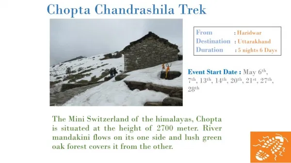 Chopta Chandrashila Trek In Uttarakhand