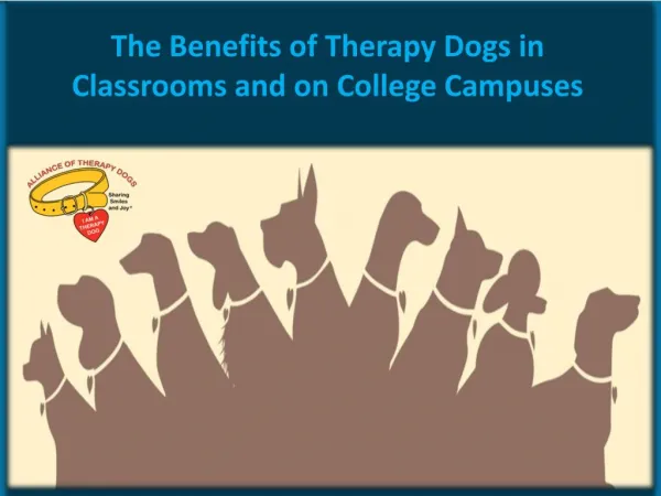 The Benefits of Therapy Dogs in Classrooms and on College Campuses