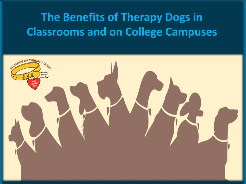 the benefits of therapy dogs in classrooms