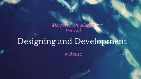 Best web designing and Development