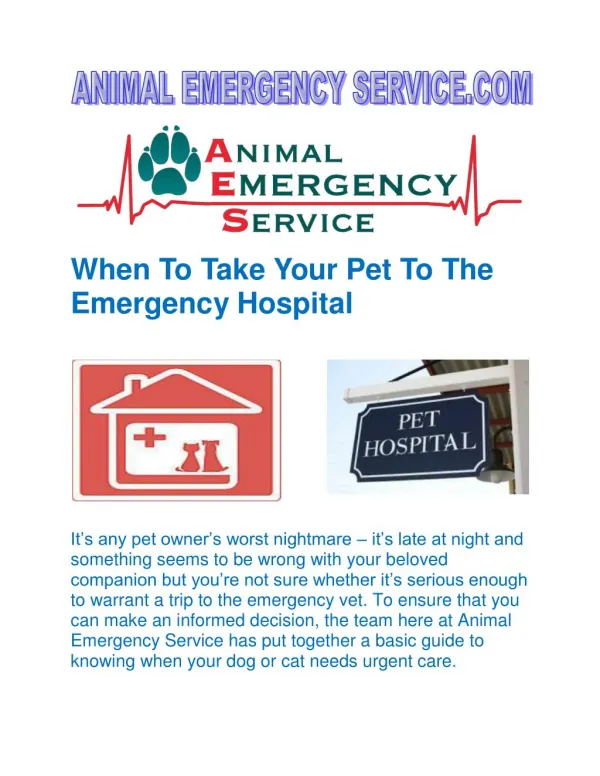 When To Take Your Pet To The Emergency Hospital.