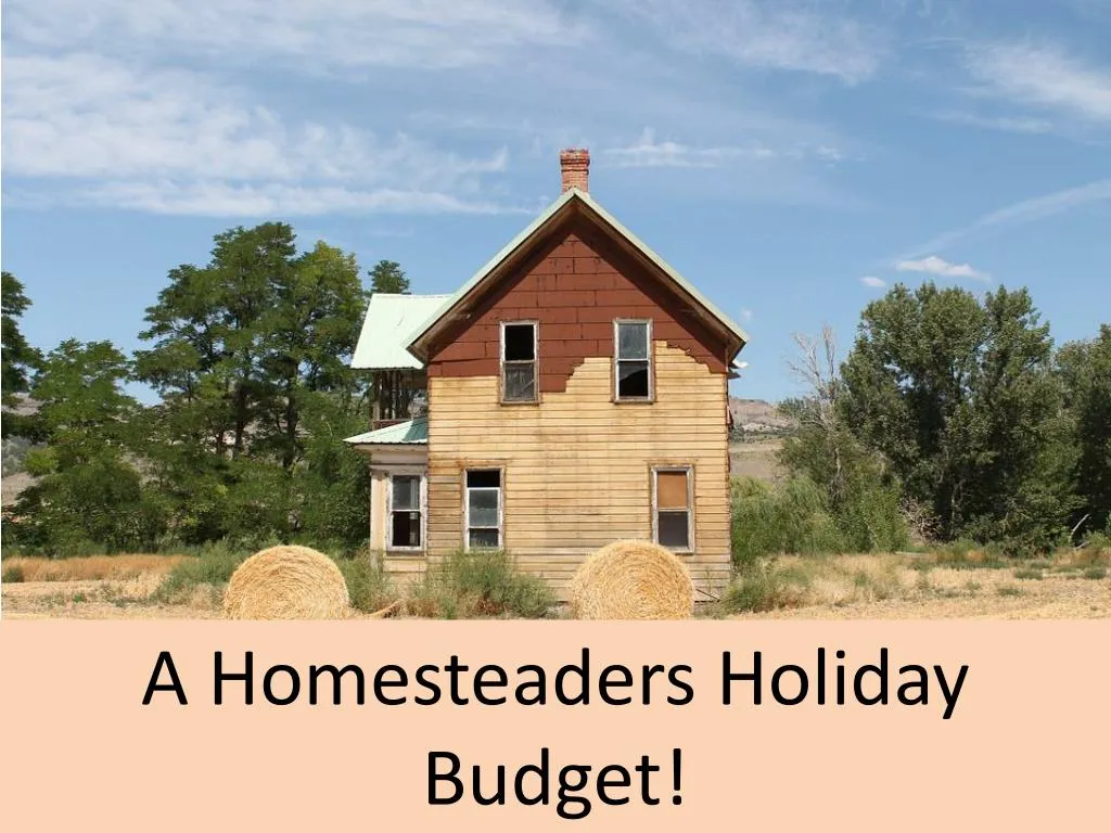 a homesteaders holiday budget