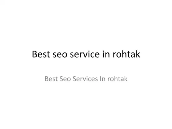 Best Seo Service In Rohtak