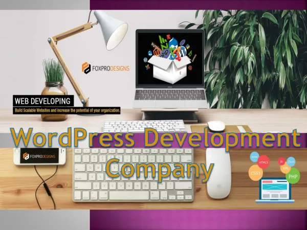 Top WordPress Development Company