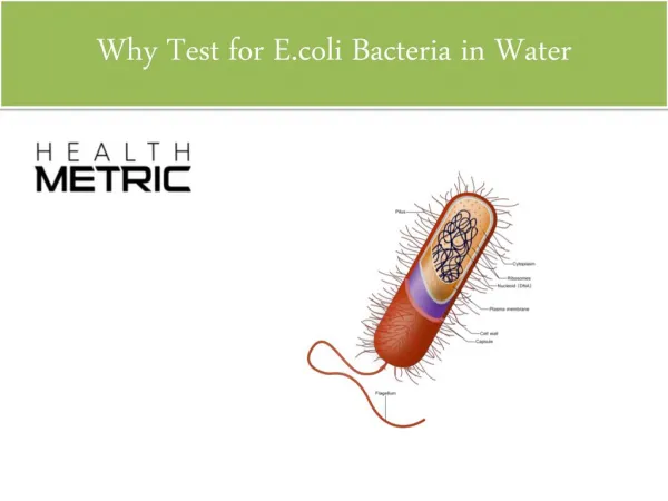 Why Test for E.coli Bacteria in Water