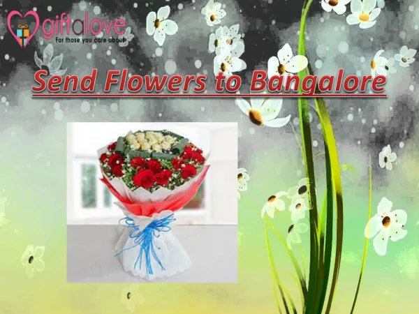 Send Flowers to Bangalore Online Via Giftalove.com