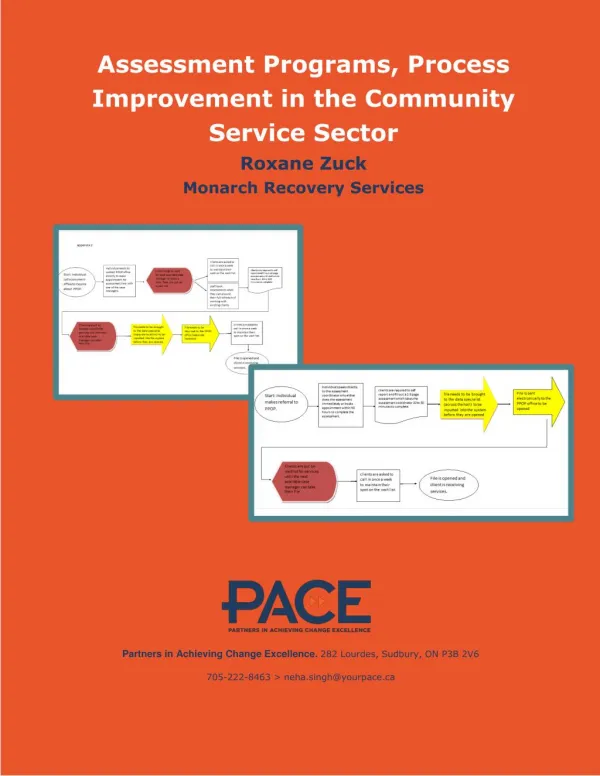Process Improvement in the Community Service Sector