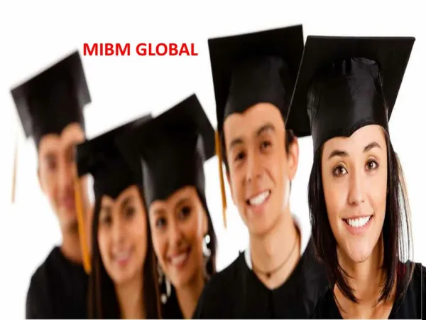 mibm global