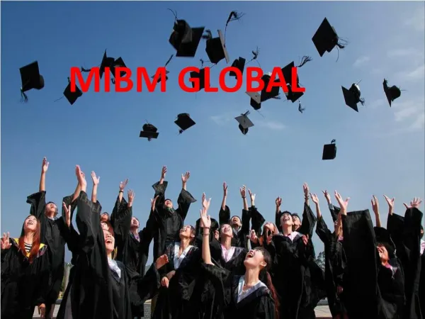 mibm global