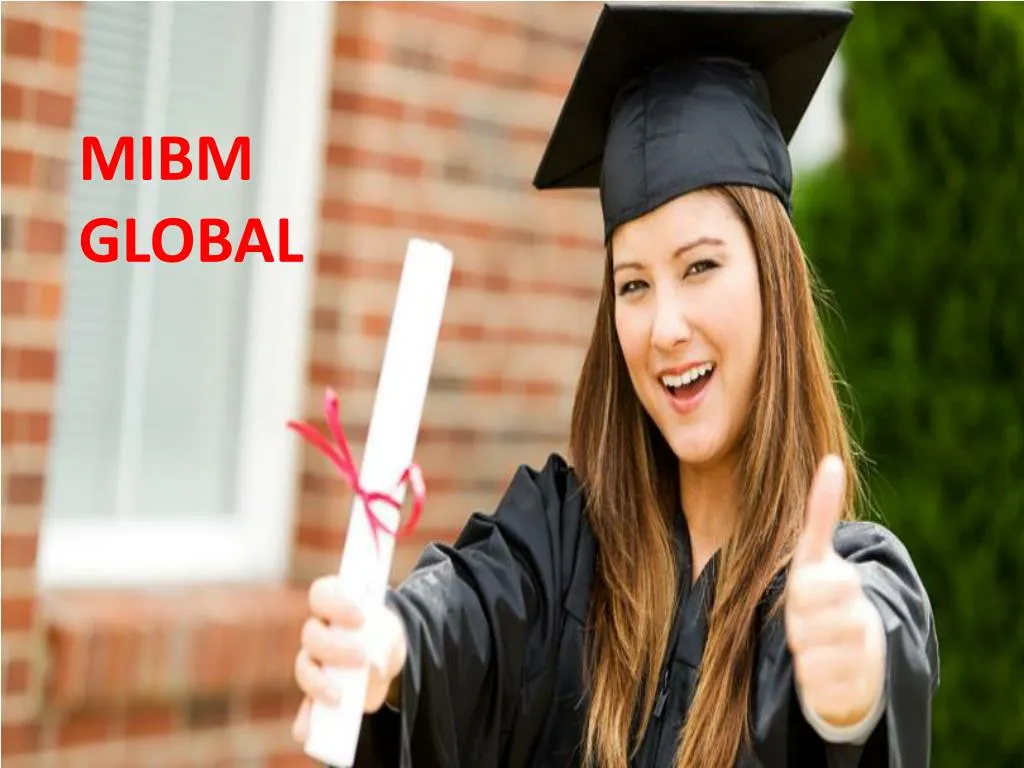 mibm global