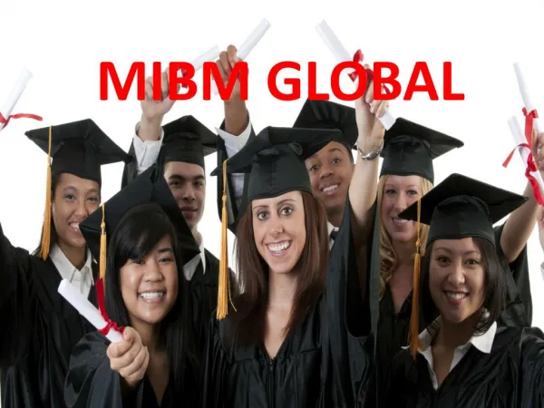 mibm global