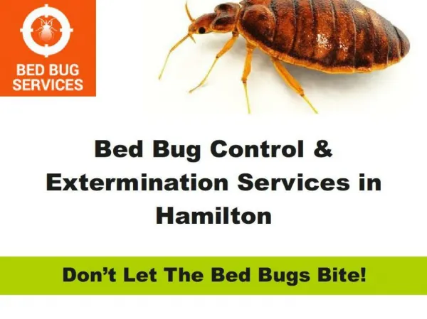 Bed Bug Control & Extermination Services in Hamilton