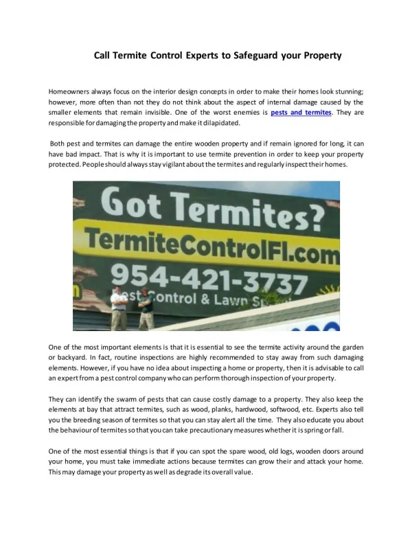 Call Termite Control Experts to Safeguard your Property