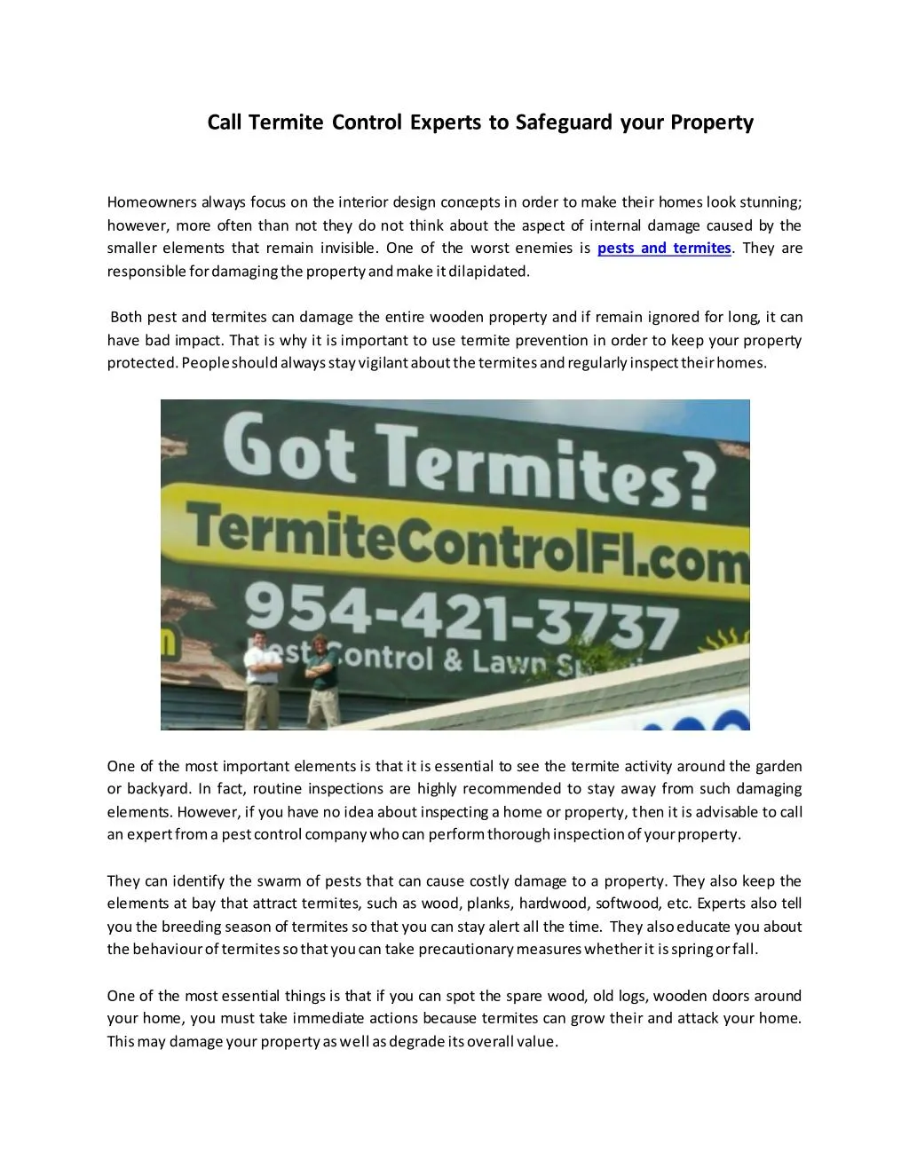 call termite control experts to safeguard your