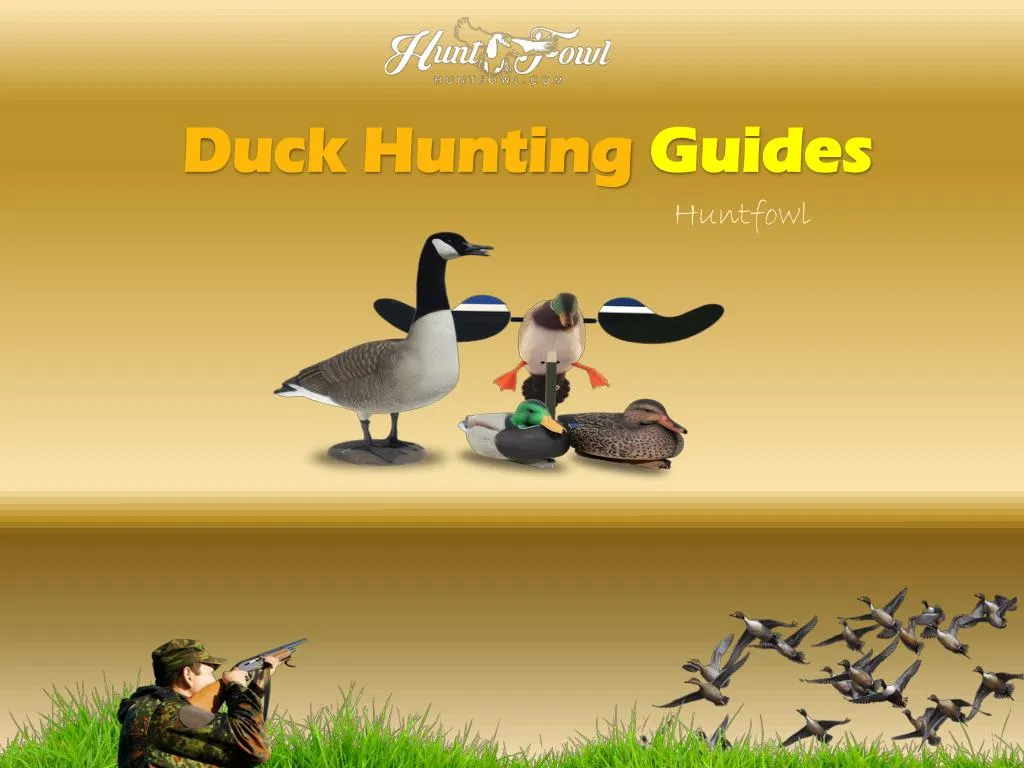 duck hunting guides