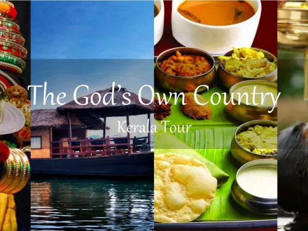 The god's own country - kerala tour