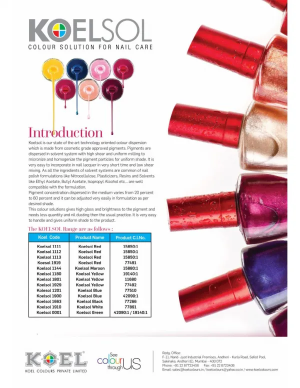 Pigments India - Colour Solution for Nail Care