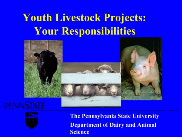Youth Livestock Projects: Your Responsibilities