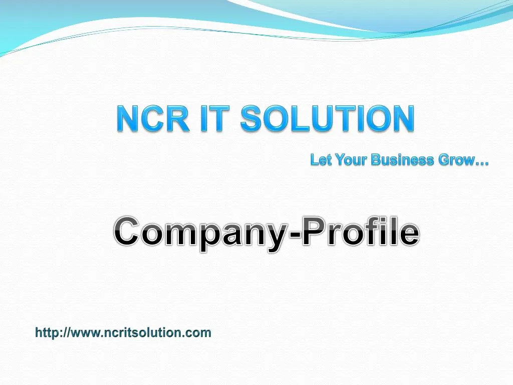 ncr it solution