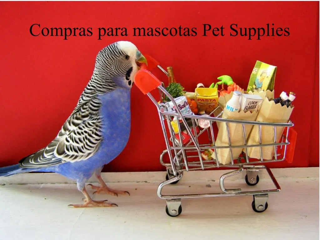 compras para mascotas pet supplies