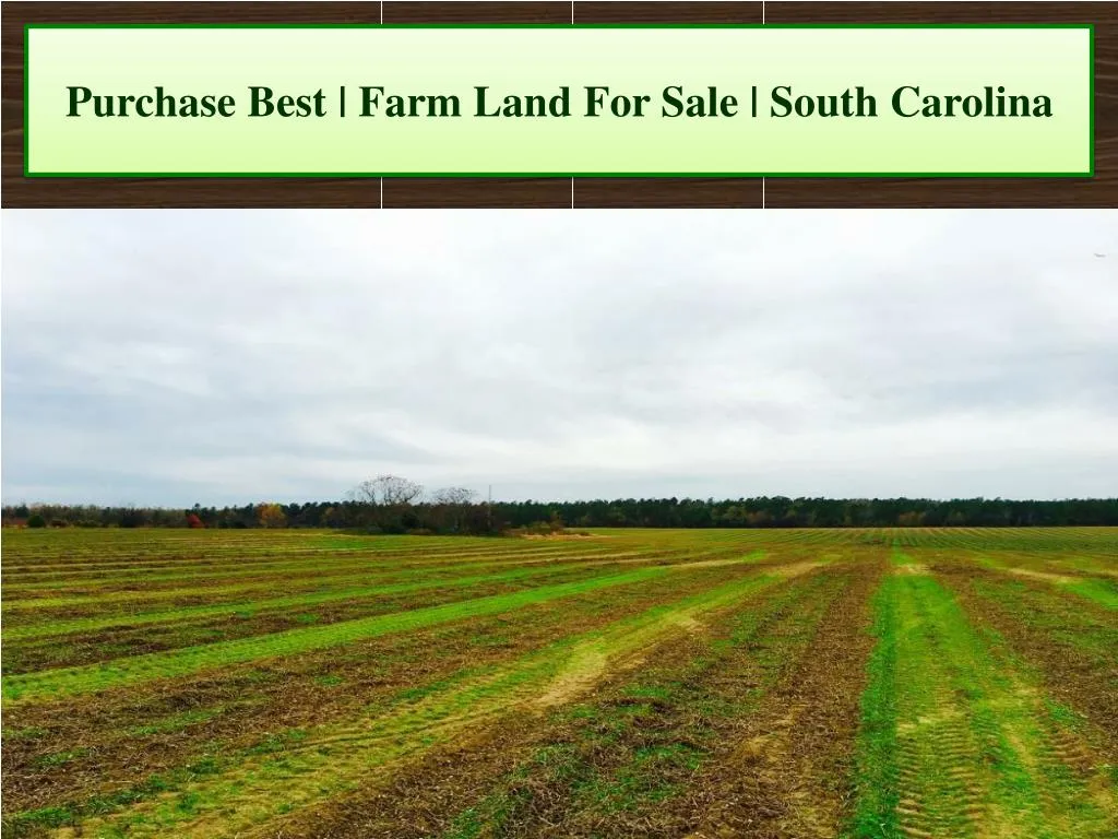 purchase best farm land for sale south carolina