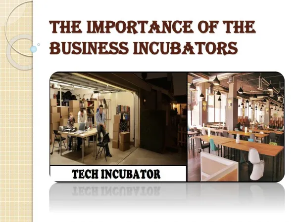 What Does a Tech Incubator do?