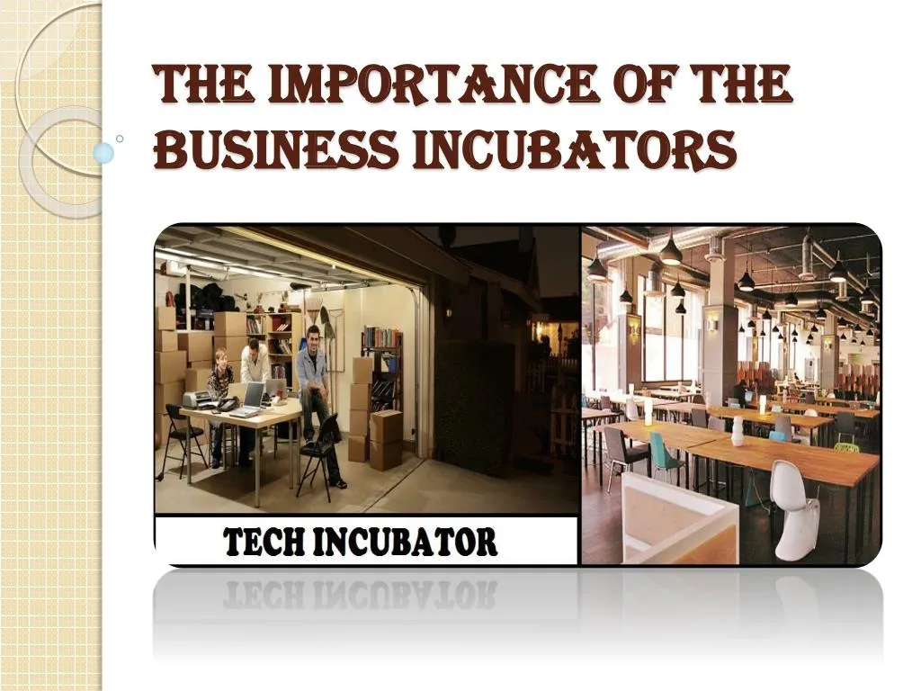 the importance of the business incubators
