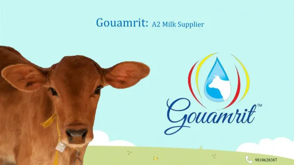 Buy Desi Cow Milk | A2 Milk | Gouamrit.in