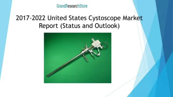 2017-2022 United States Cystoscope Market Report (Status and Outlook)