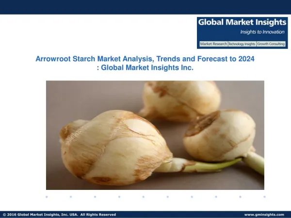 Arrowroot Starch Industry Analysis, Pitfalls and Future Challenges from 2017 to 2024