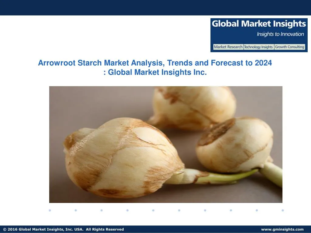 arrowroot starch market analysis trends