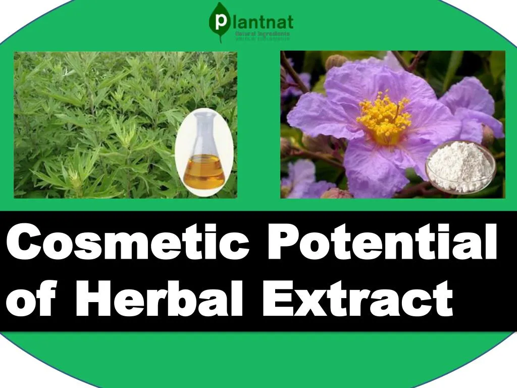 cosmetic potential of herbal extract