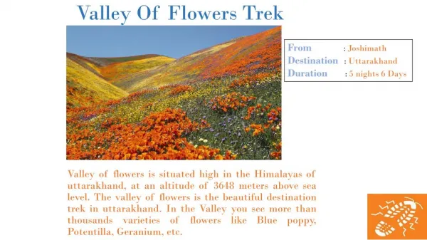 Valley Of Flowers Trek In Uttarakhand