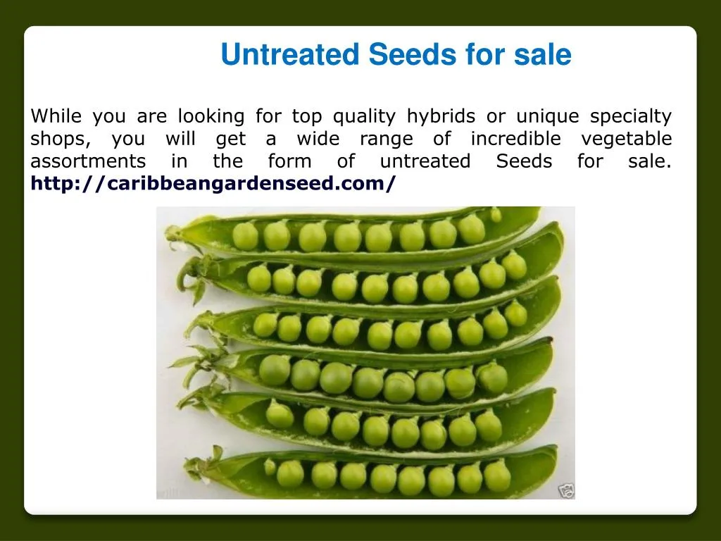 untreated seeds for sale