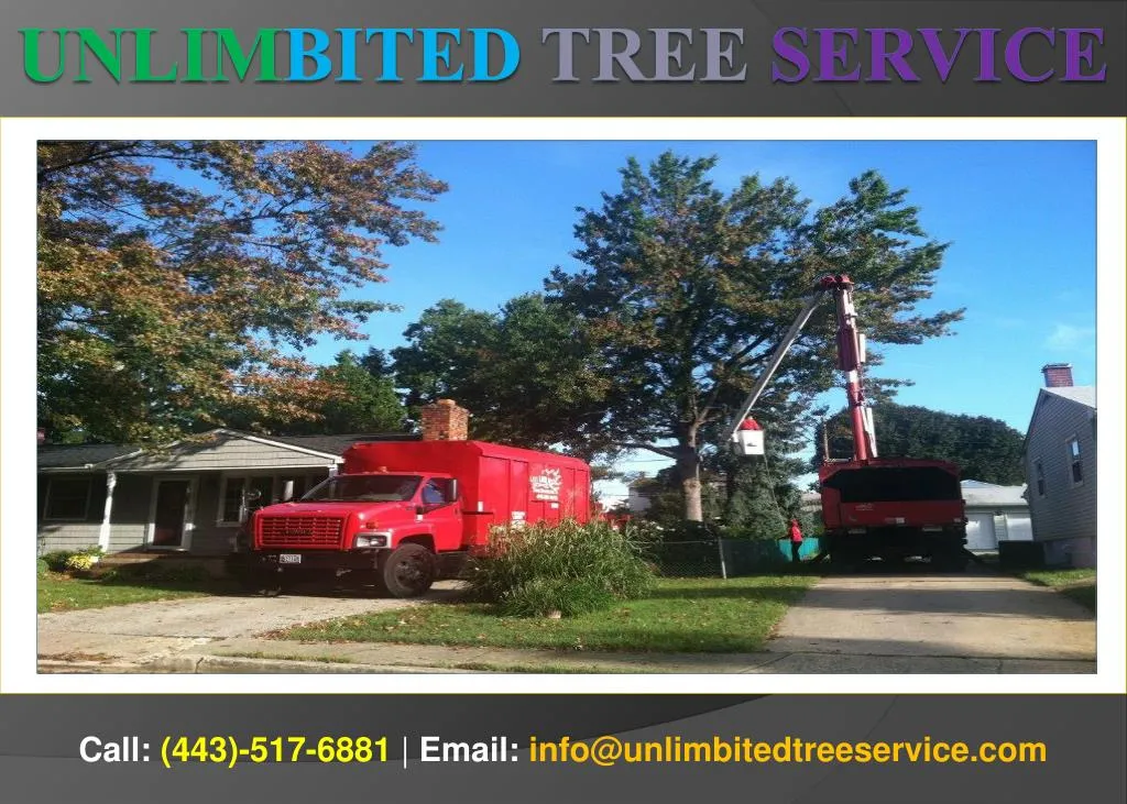 unlim bited tree service inc