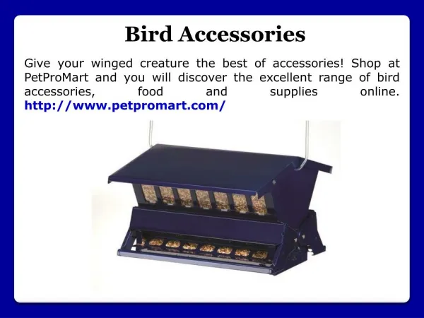 Bird Accessories