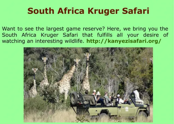 Kruger park Safari