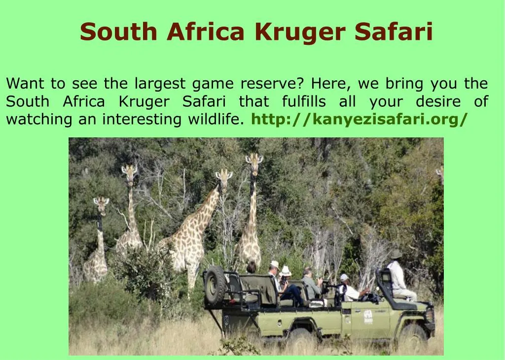 south africa kruger safari