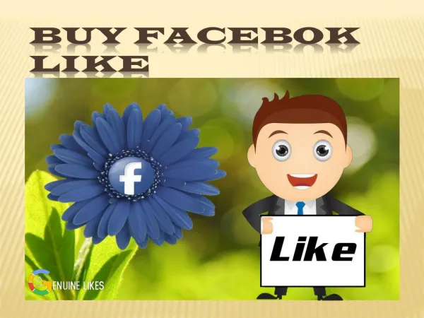 BUY AFFORDABLE FACEBOOK LIKES