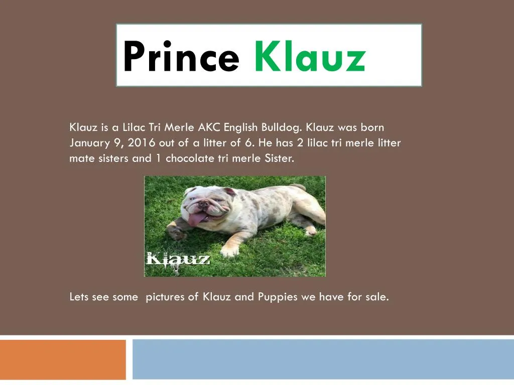 prince klauz