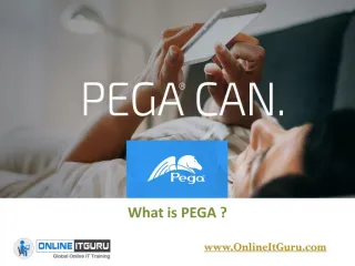 PEGA Online Training hyderabad | PEGA online Course - slide 1
