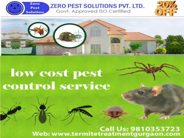 Are you looking for termite pest control services in Gurgaon