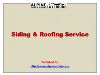 Siding & Roofing Service