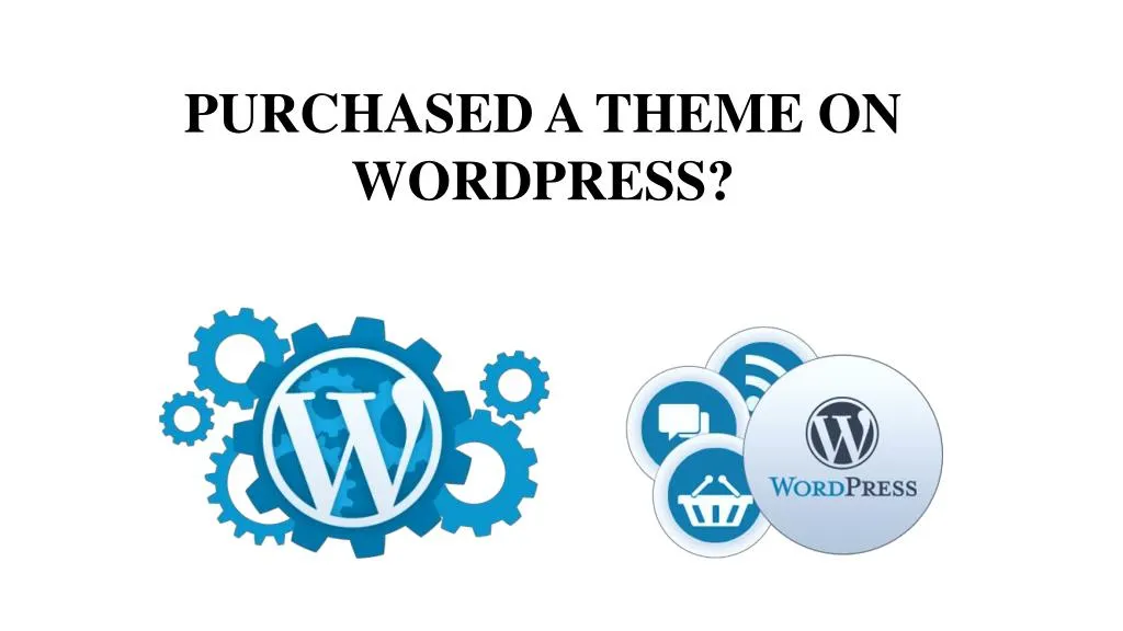 purchased a theme on wordpress