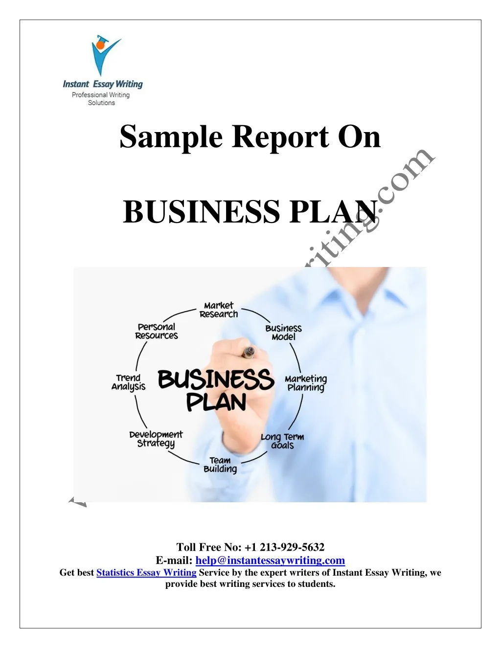 sample report on business plan