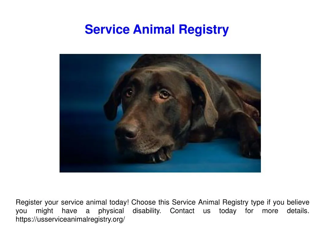 service animal registry
