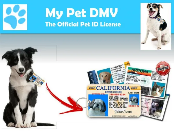 Official USA Made Drivers License ID For Dogs | My Pet DMV